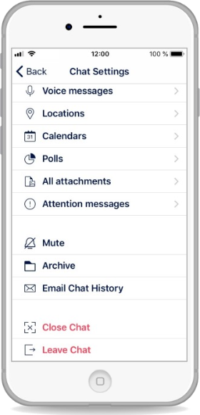 iPhone_EN__Chat_Settings__3of3.png